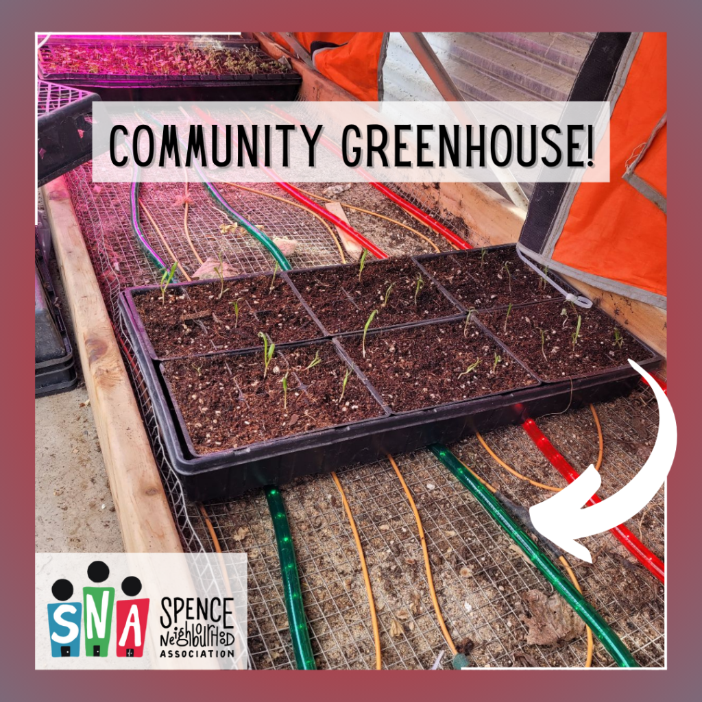 Community Greenhouse 1 1024x1024