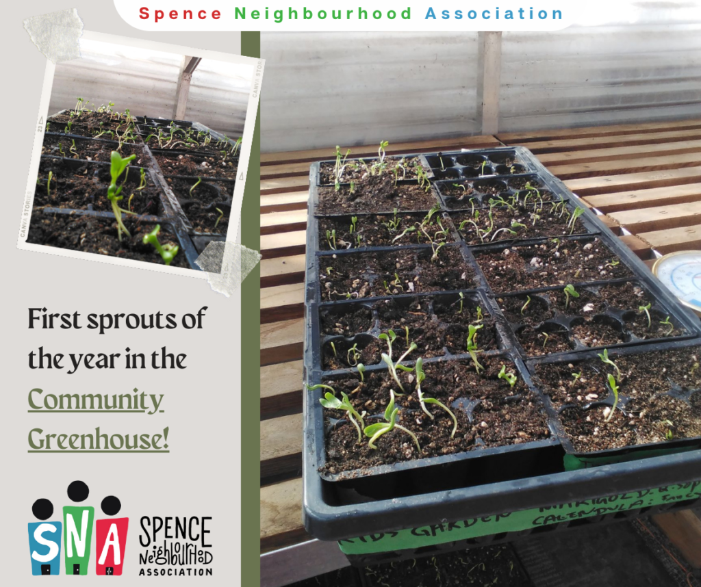 Community Greenhouse 1024x858