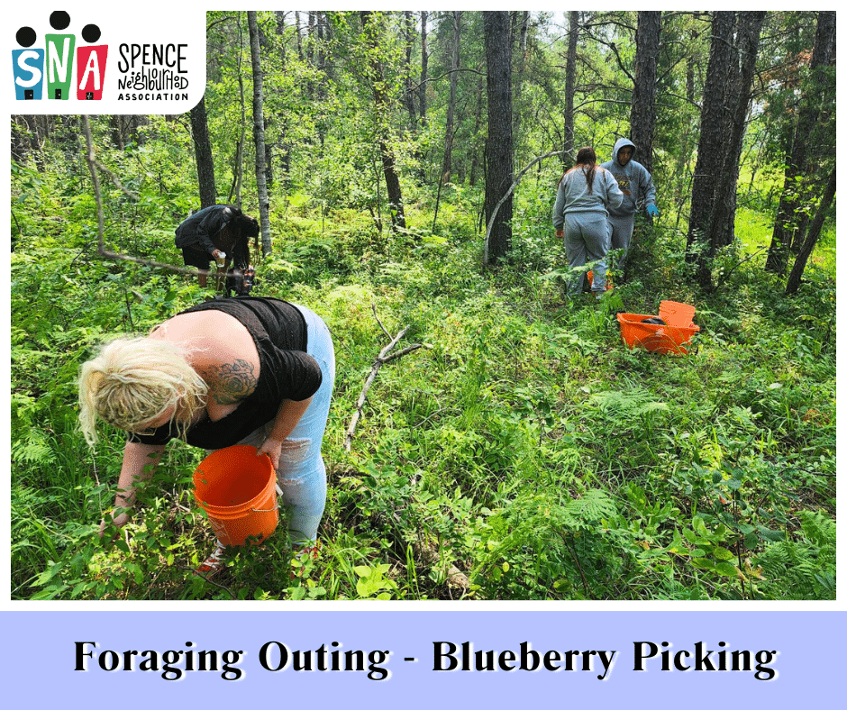 Cultural Support Foraging Outing Blueberry Picking