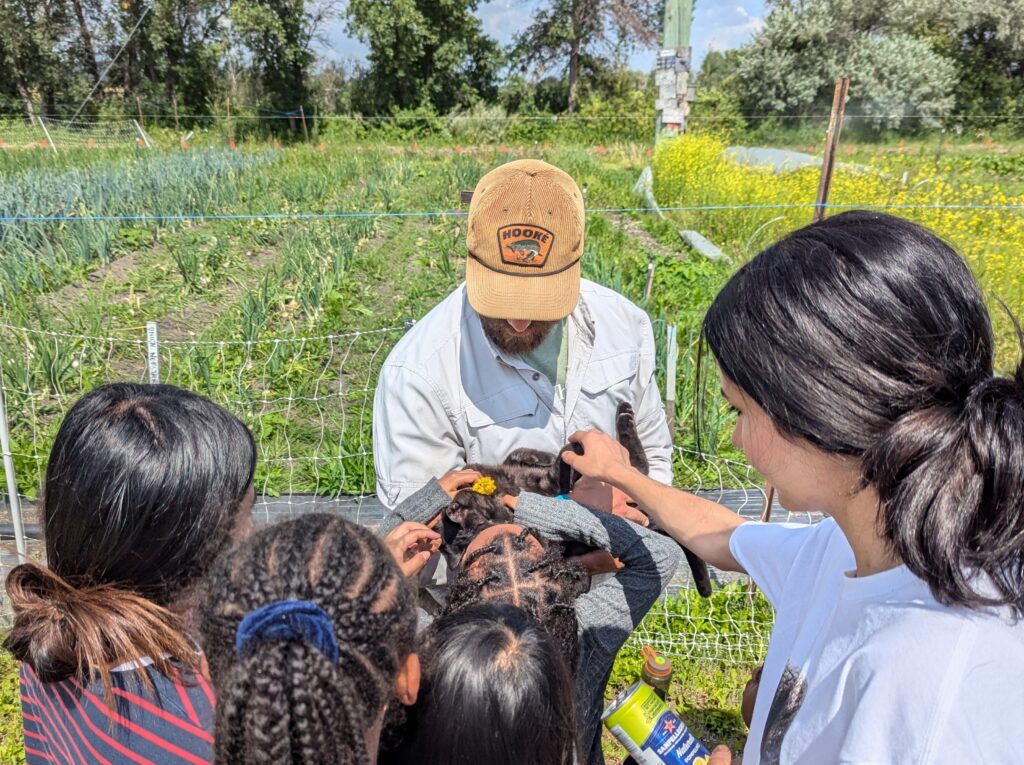 BB Fort Whyte Farms 16 1024x765