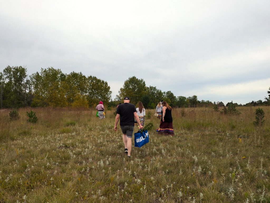 Staff Sage Picking 1 1024x771