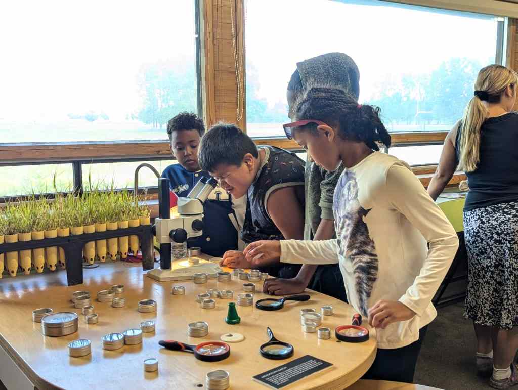 bb living prairie museum 6 scaled 3