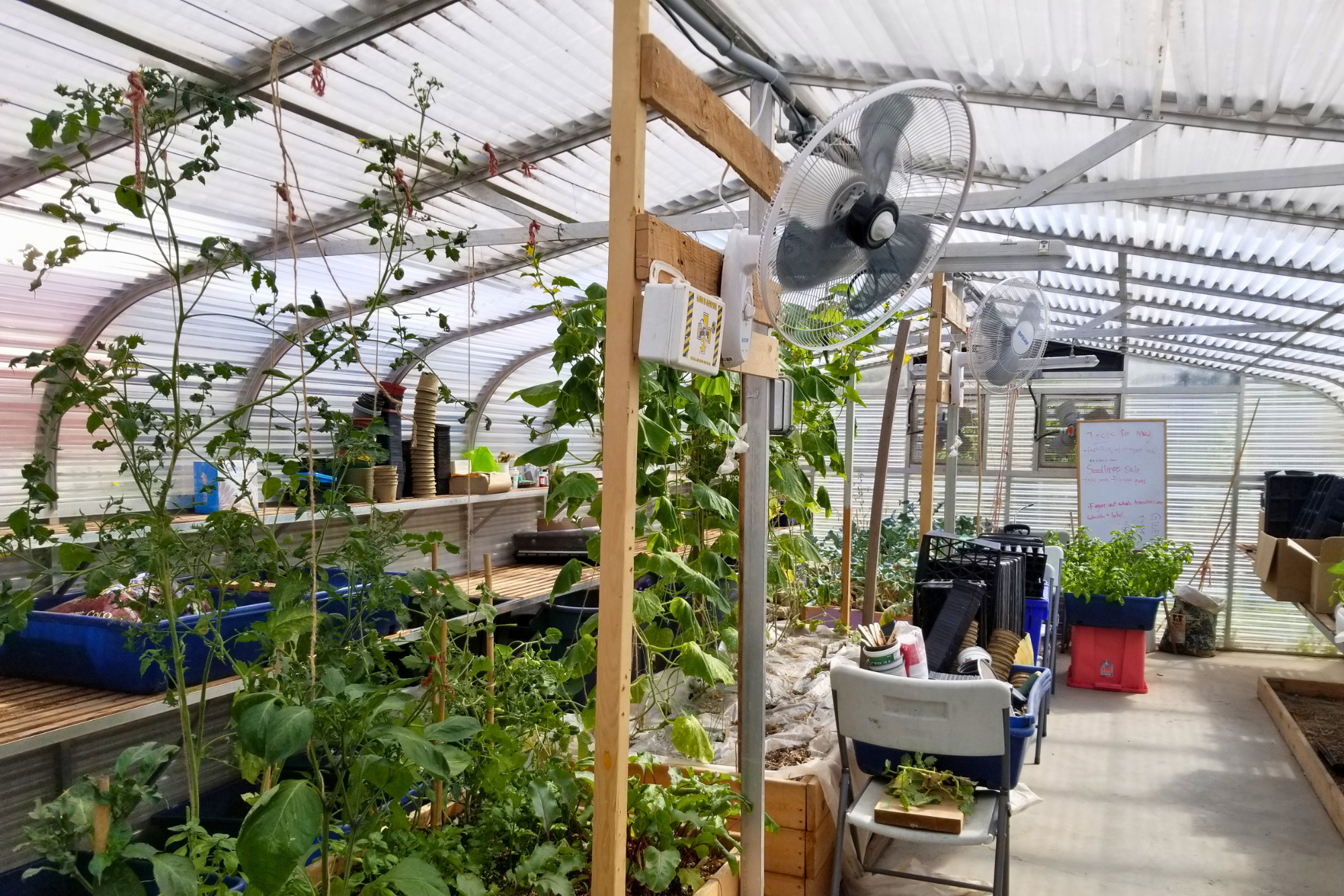 Co-op Community Greenhouse greenhouse photos (1)